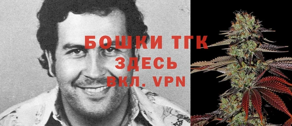 шишки Богородск
